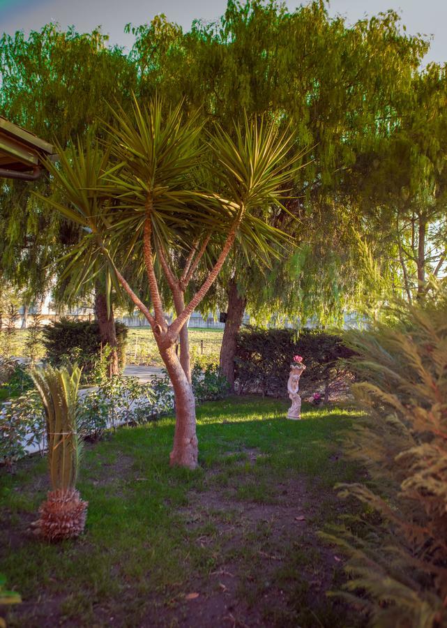 My Svago Otel Mariglianella Dış mekan fotoğraf